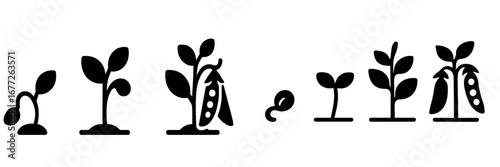 Plant Growth Stages from Seed to Pod