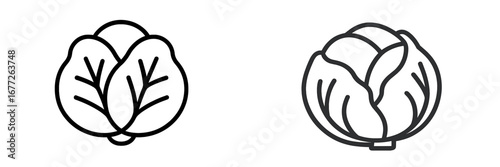 Two Cabbage Icons