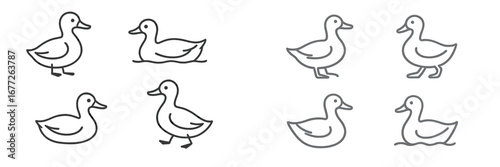 Set of duck icons in different poses