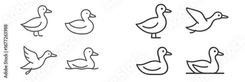 Set of Duck Icons