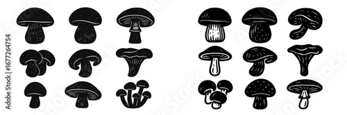 Collection of Mushroom Illustrations