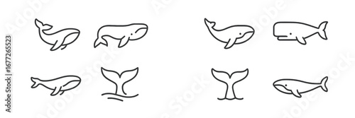 Collection of stylized whale icons and tail fins