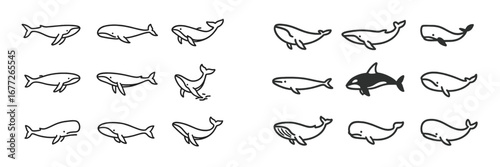 Collection of stylized whale illustrations