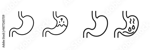Stomach digestion process