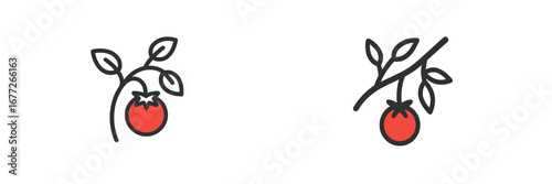 Stylized tomato on a vine icon