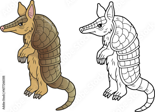 armadillo, outline illustration, coloring page for kids