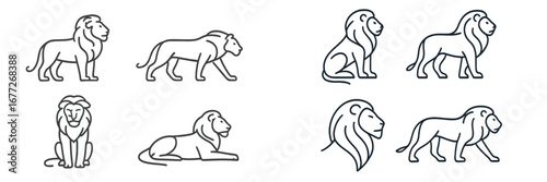 Collection of Lion Line Art Illustrations