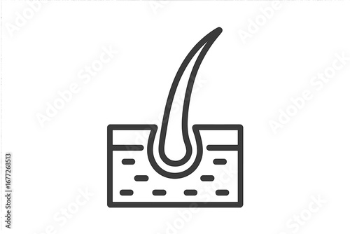 Hair follicle cross-section icon