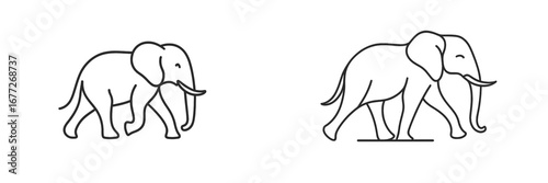 Two elephants walking side by side, line art