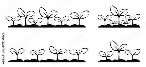 Flowers, plants growing tray. Cartoon growing seedling. Seedlings in a box. Propagate by cuttings. Saplings. Young seedling in ground and sprouts of plant. Vegetable seedlings growing at soil in pot. 
