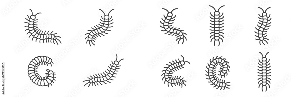 Obraz premium Collection of stylized centipede illustrations