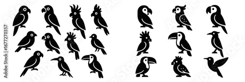 Collection of stylized bird silhouettes on black background
