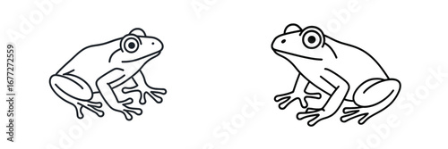 Outline of two frogs on a black background