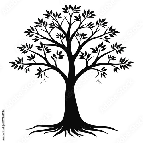 Silhouette of a deciduous tree with spreading branches and visible roots vector illustration