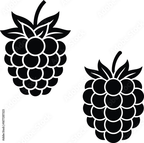 Two vector Black Silhouettes of Ripe Raspberries raspberry berry