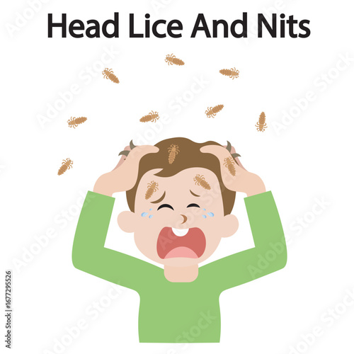 Vector illustration of head lice and nits showing itching, scalp irritation, redness, plus similar conditions like dandruff, scabies, and allergic dermatitis crying kid