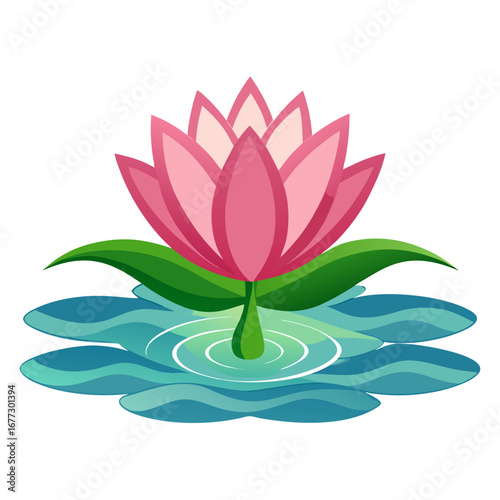 Pink Lotus Flower on Water