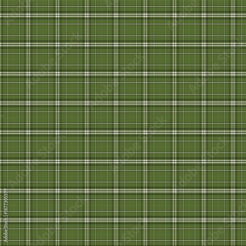 Deep Forest Green Gingham Fabric Texture