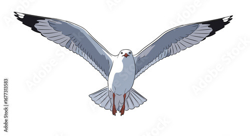 A majestic seagull soars through the sky on expansive wings displaying its white plumage and dark wingtips in a stunning aerial view