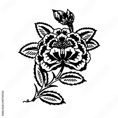 Elegant rose blossom illustration for sophisticated design projects and vintage floral accents