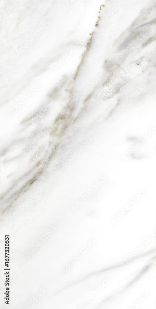 Obraz premium Luxurious White Marble Patterns for Home Decor