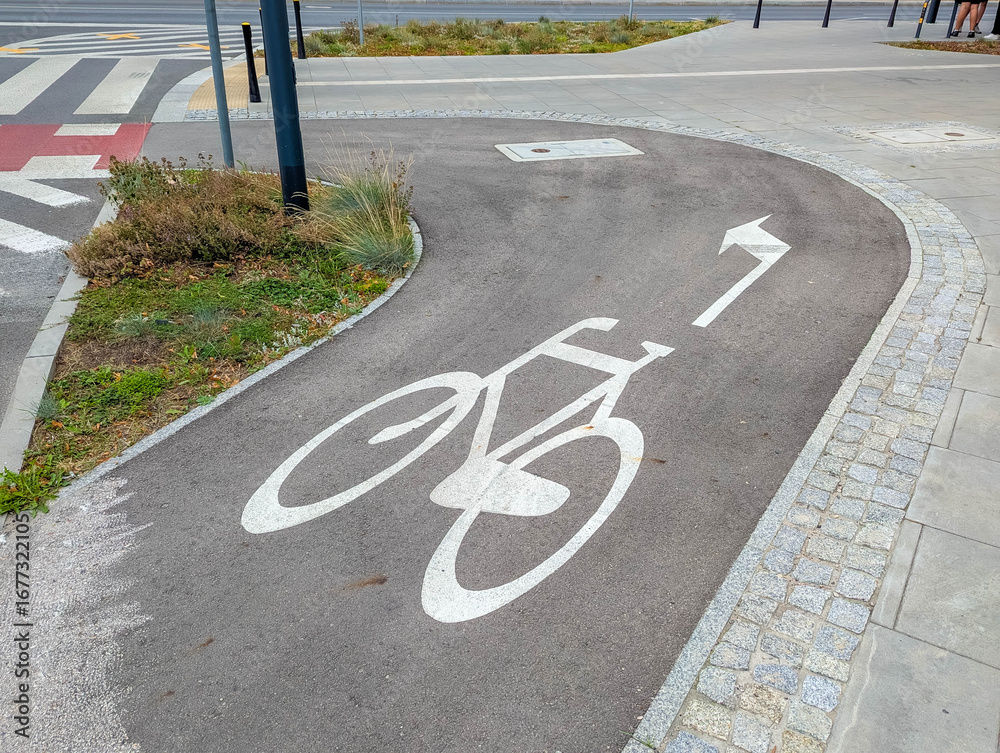 Obraz premium Curved bicycle path with white painted cycling symbol on dark asphalt creating smooth transportation route. High quality photograph