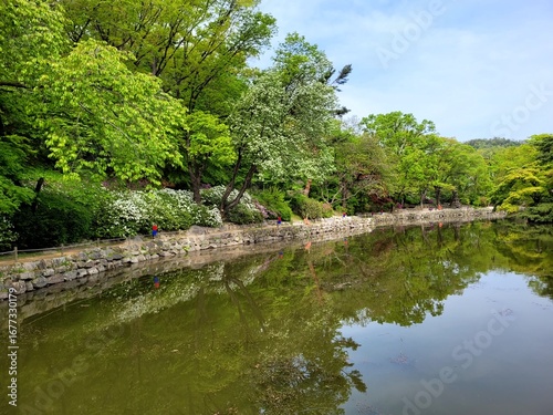 Changgyeonggung Palace – Peaceful Garden and Lotus Pond