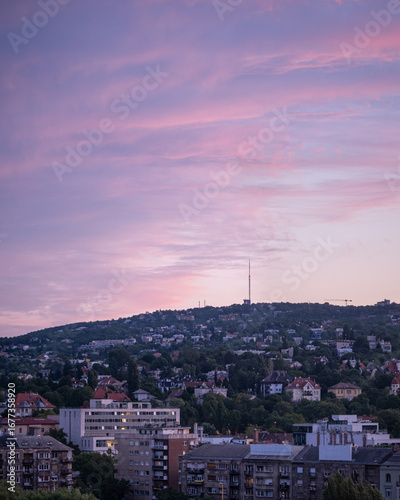Vertical Cityscape of a Hillside Neighborhood at Sunset with Purple and Pink Sky