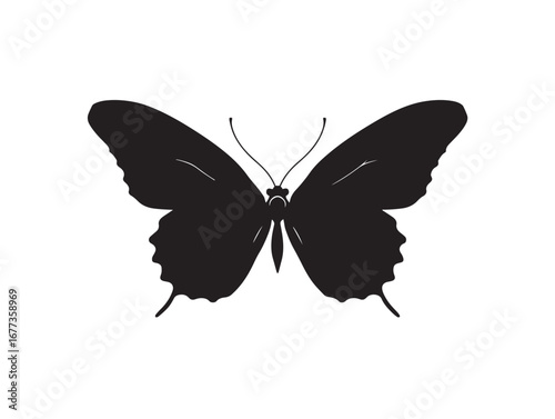Elegant butterfly silhouette vector illustration black and white