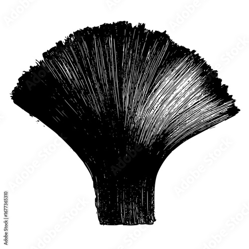 Abstract black and white illustration of a fan shaped object with textured lines and brushstrokes effect