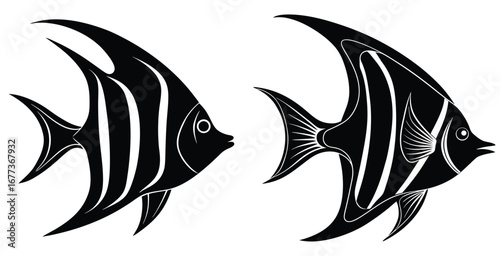 Black silhouette of Elegant Angelfish vector stylish design art