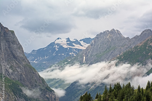 Landscape with pine trees and cloudy mountains in La Vanoise nature reserve, France. 