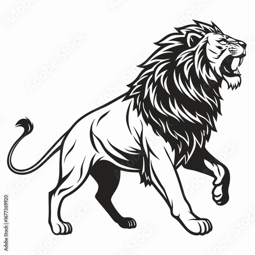lion vector illustration