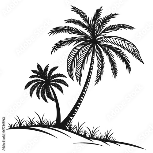palm tree silhouette