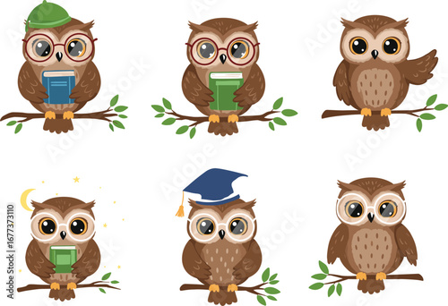 Cute cartoon owl characters sitting on branches, reading books, wearing glasses, graduation hats, green cap, night stars, educational vector.