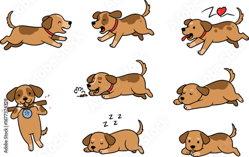 Cute playful brown puppies in different poses, sleeping, running, chewing stick, and expressing love, perfect for pet lover designs.