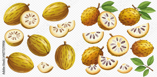 A collection of watercolor illustrations of Monk fruit and soursop, shown whole, halved, and sliced with leaves.