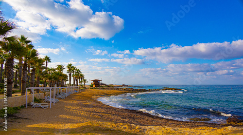 Paradise sand beach with palm trees and Mediterranean sea at sunrise, Cyprus