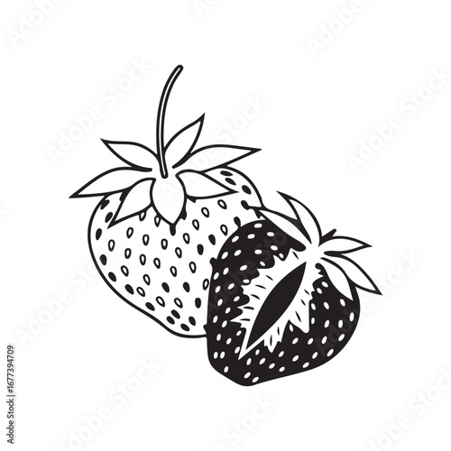 Strawberry Fruit line art illustration