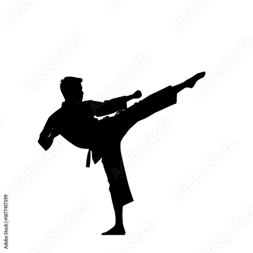 Dynamic martial artist executes swift karate kick