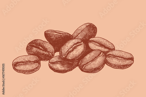Coffee beans isolated on a white background. This vector illustration can be used in any size you like for advertising, logos, and other work.