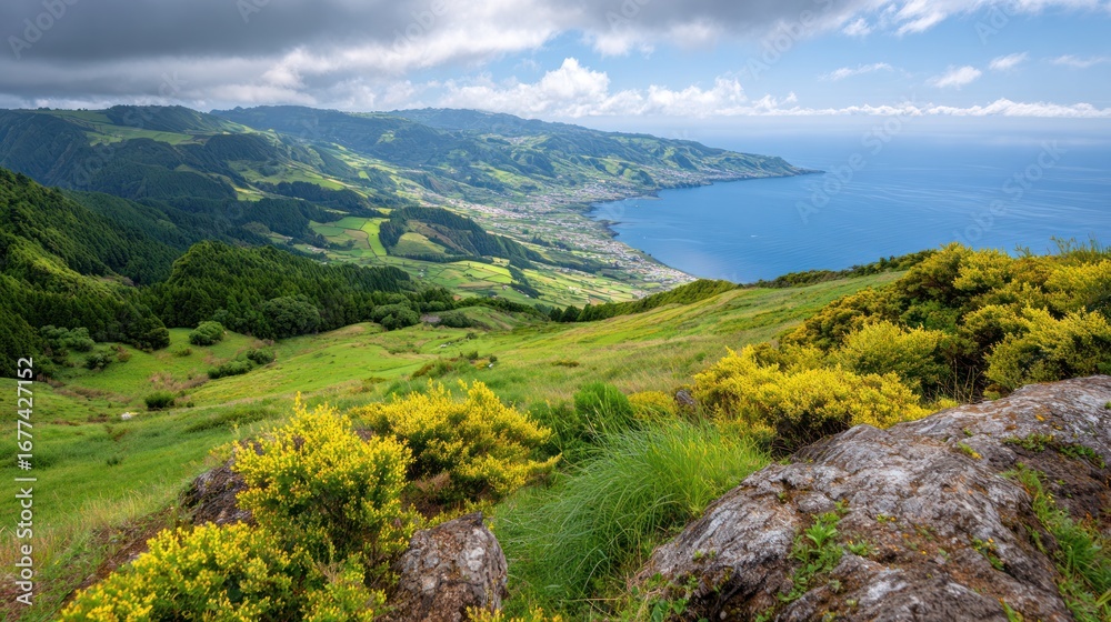 Fototapeta premium Coastal Vista: Capturing the raw beauty of the coastline, the verdant landscape, and vast expanse of ocean meet beneath a clear, sunlit sky. Evoking a sense of serenity and adventure.