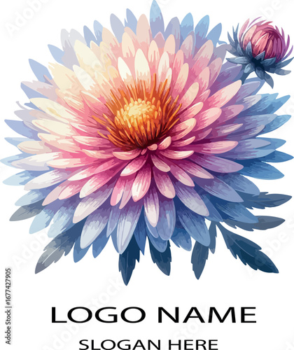 Watercolor aster flower clipart logo icon vector white background .