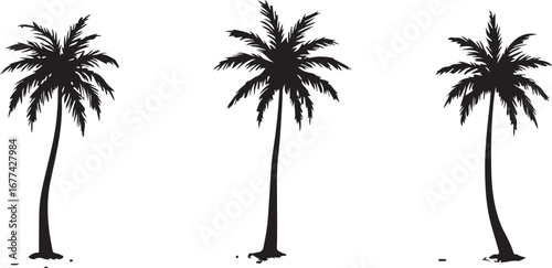 Palm Tree Silhouette Vector – Tropical Island Clipart

Coconut Palm Silhouette Bundle – Beach & Summer Decor

Tropical Palm Tree Outline – Paradise Island Vector Art