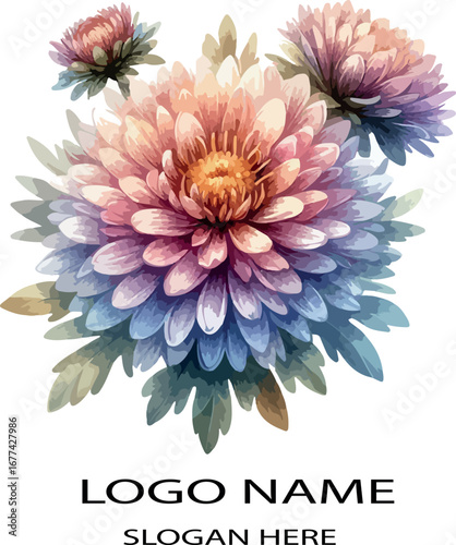 Watercolor aster flower clipart logo icon vector white background .