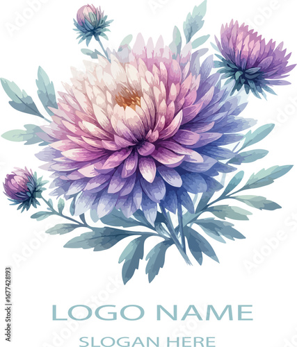 Watercolor aster flower clipart logo icon vector white background .