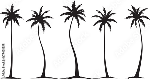 Palm Tree Silhouette Vector – Tropical Island Clipart

Coconut Palm Silhouette Bundle – Beach & Summer Decor

Tropical Palm Tree Outline – Paradise Island Vector Art