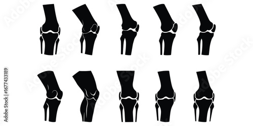 Knee Joint Icon Set Vector Design