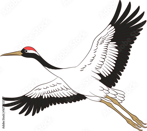 한국 민화 학 두루미