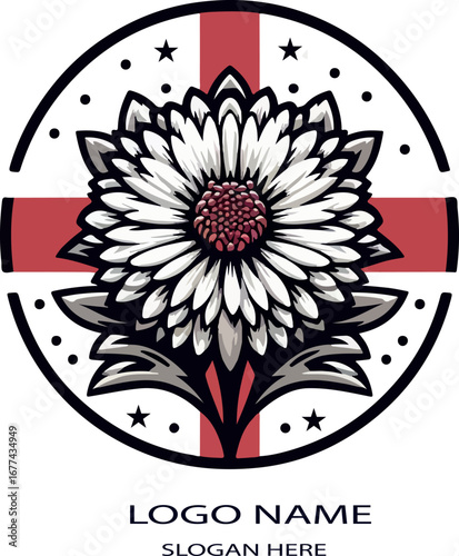 England aster flower logo icon vector white background .